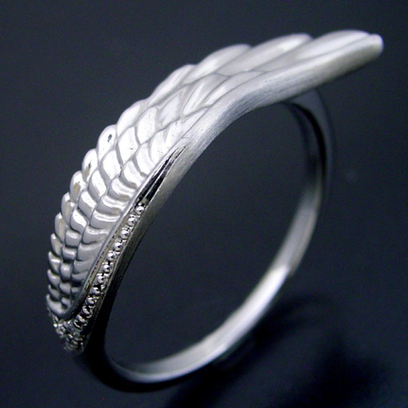 画像1: 長く使える指輪としてデザインしたフェザー（羽）の結婚指輪「極(きわみ) type Feather」 (1)
