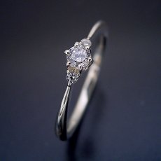 画像7: サイドメレが付いた、シンプルティファニーセッティングリング婚約指輪 (7)